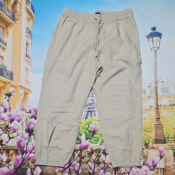 J. Crew Drawstring Tan Capri Pants Size 10P - Picture 2 of 5